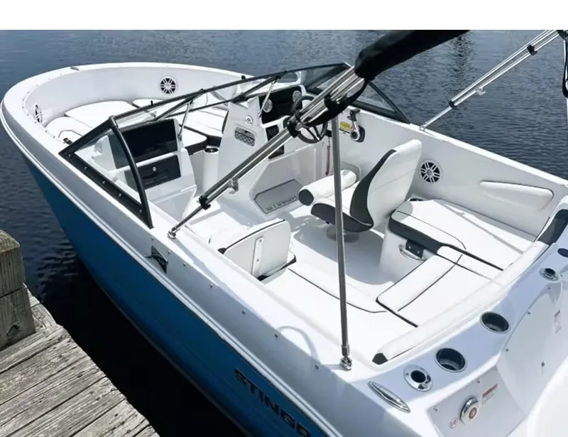 Slide: The Image of Stingray 172 DC 2026 - 3