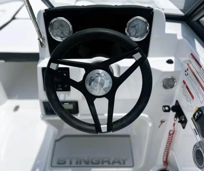 Slide: The Image of Stingray 172 DC 2026 - 5