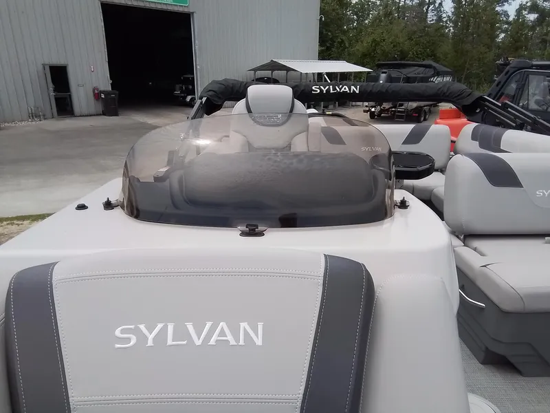 Slide: The Image of Sylvan L-3 CLZ 2025 - 35