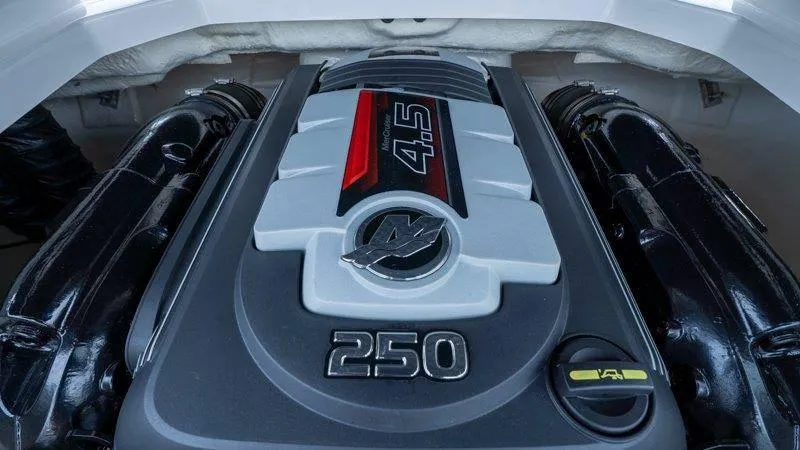 Slide: The Image of Chaparral 21 H20 2019 - 55