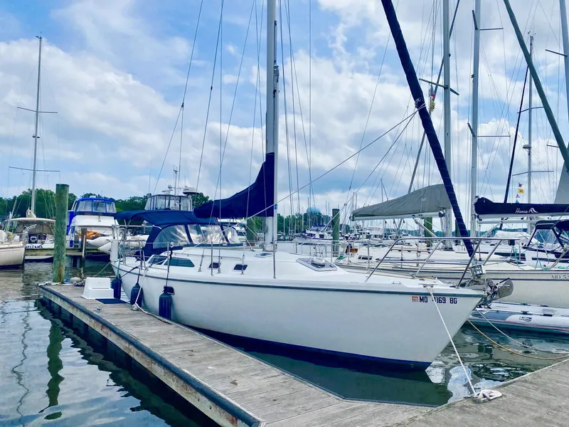 Slide: The Image of 1995 Catalina 36 MkII sailboat docked at marina under blue sky. - 3