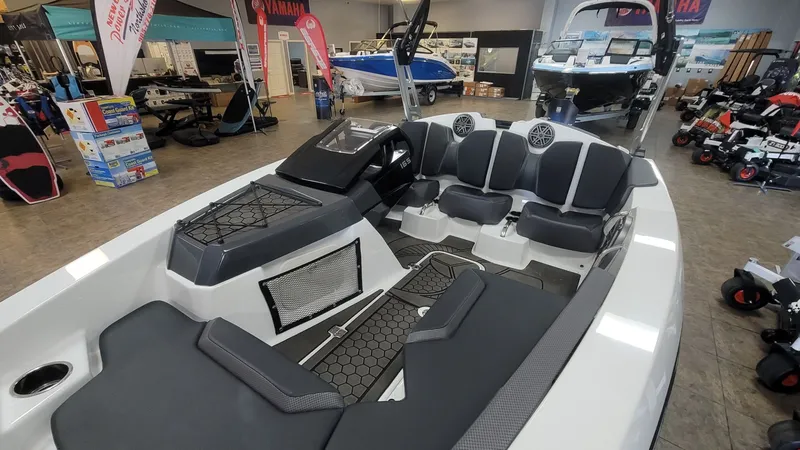 Slide: The Image of Scarab 165 ID 2025 - 10