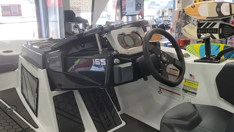 Slide: The Image of Scarab 165 ID 2025 - 11