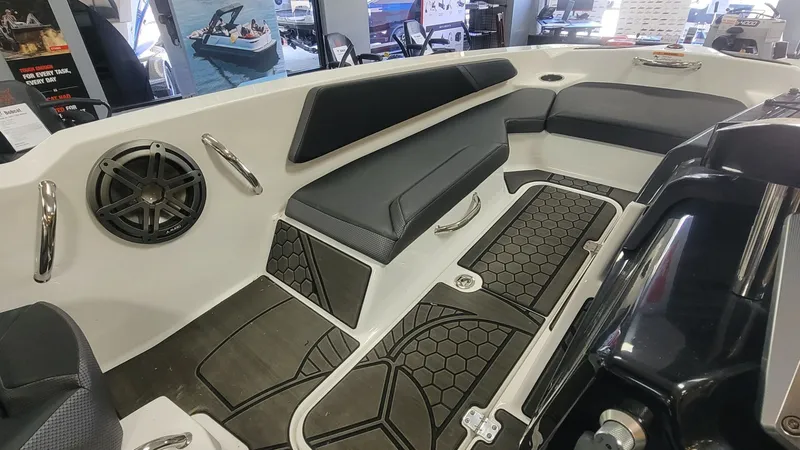 Slide: The Image of Scarab 165 ID 2025 - 12