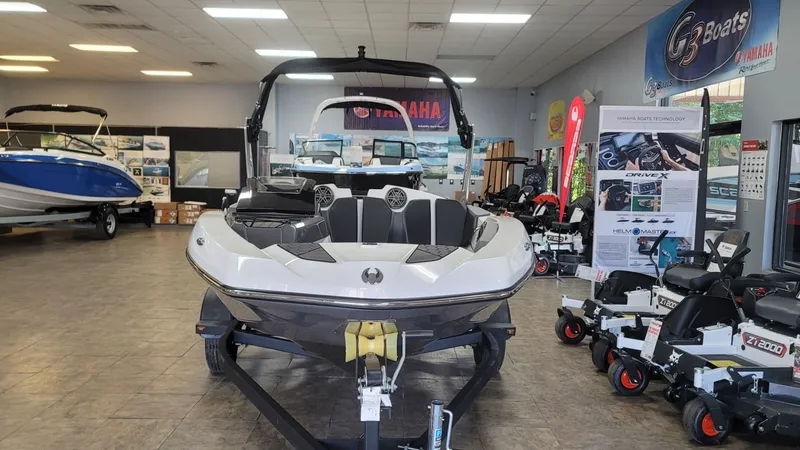 Slide: The Image of Scarab 165 ID 2025 - 3