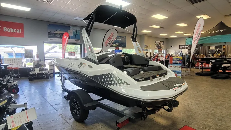 Slide: The Image of Scarab 165 ID 2025 - 6