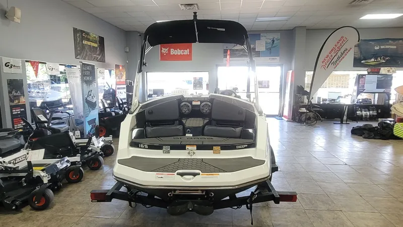 Slide: The Image of Scarab 165 ID 2025 - 7