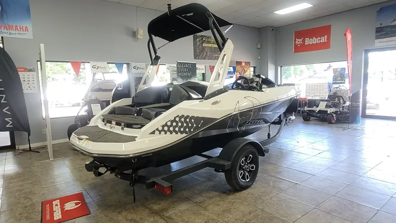 Slide: The Image of Scarab 165 ID 2025 - 8