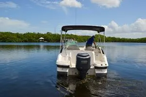 Slide: The Image of 2011 Sea Ray 240 Sundeck boat on calm water with lush greenery in the background. - 3