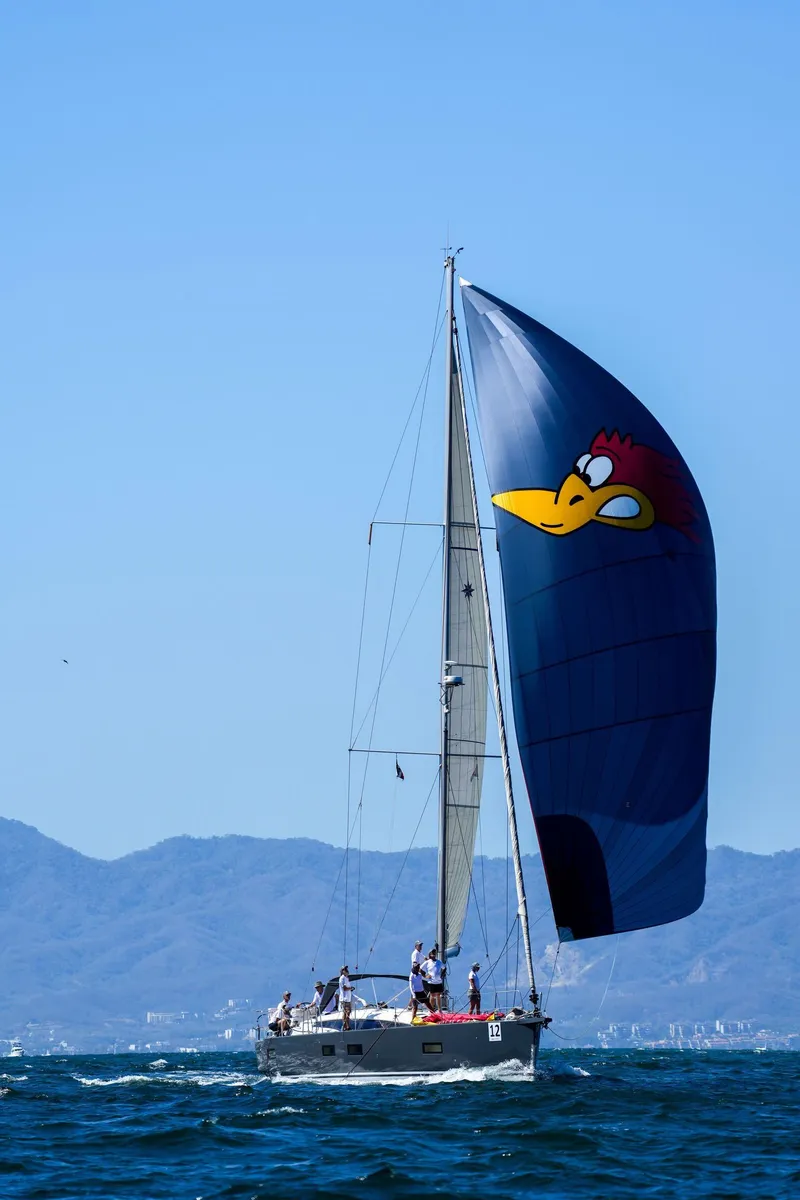 Slide: The Image of 2018 Jeanneau 54 sailboat with cartoon sail design on open water. - 3