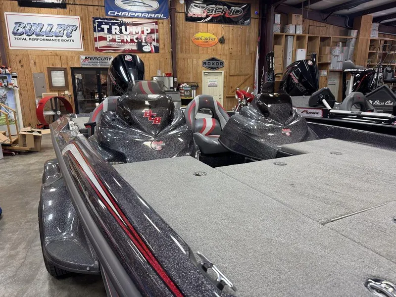 Slide: The Image of Bass Cat Cougar FTD 2021 - 4