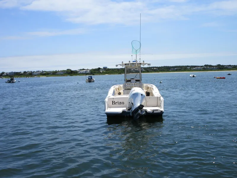 Slide: The Image of 2019 Grady-White Fisherman 236 boat on calm water, clear sky background. - 9