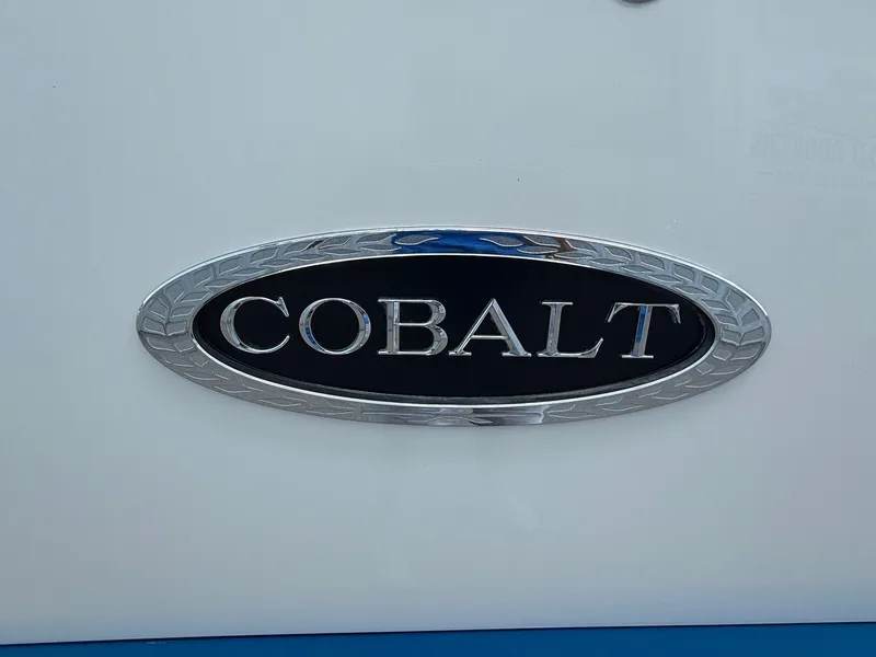 Slide: The Image of Cobalt CS23 2019 emblem on a white background, featuring silver lettering. - 5