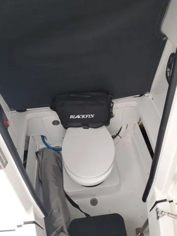 Slide: The Image of Blackfin 252CC 2024 - 11