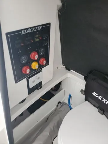 Slide: The Image of Blackfin 252CC 2024 - 12