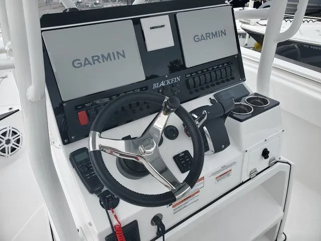 Slide: The Image of Blackfin 252CC 2024 - 15