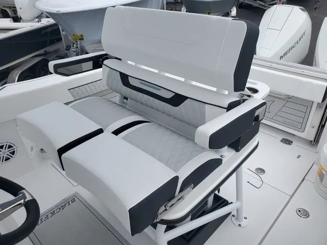 Slide: The Image of Blackfin 252CC 2024 - 16