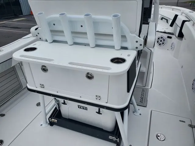 Slide: The Image of Blackfin 252CC 2024 - 19