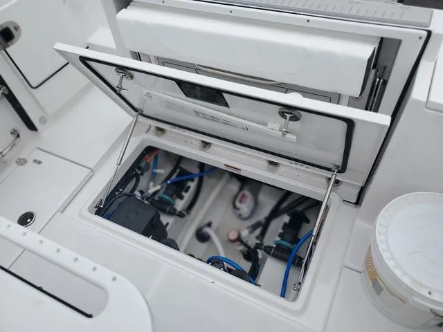 Slide: The Image of Blackfin 252CC 2024 - 23