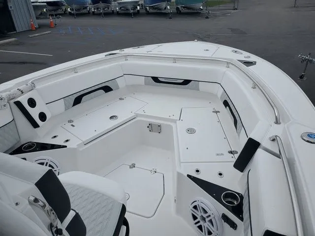 Slide: The Image of Blackfin 252CC 2024 - 5