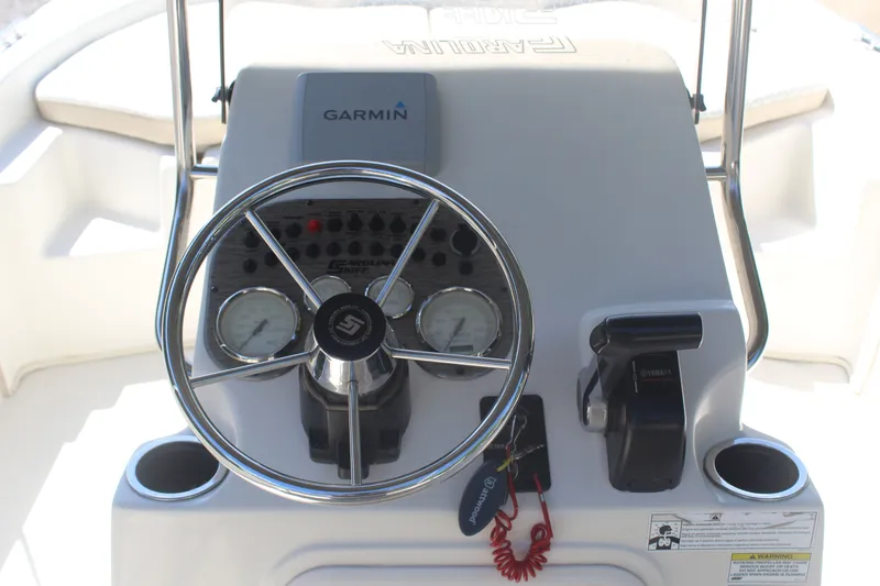 Slide: The Image of Carolina 198 DLV 2015 - 9