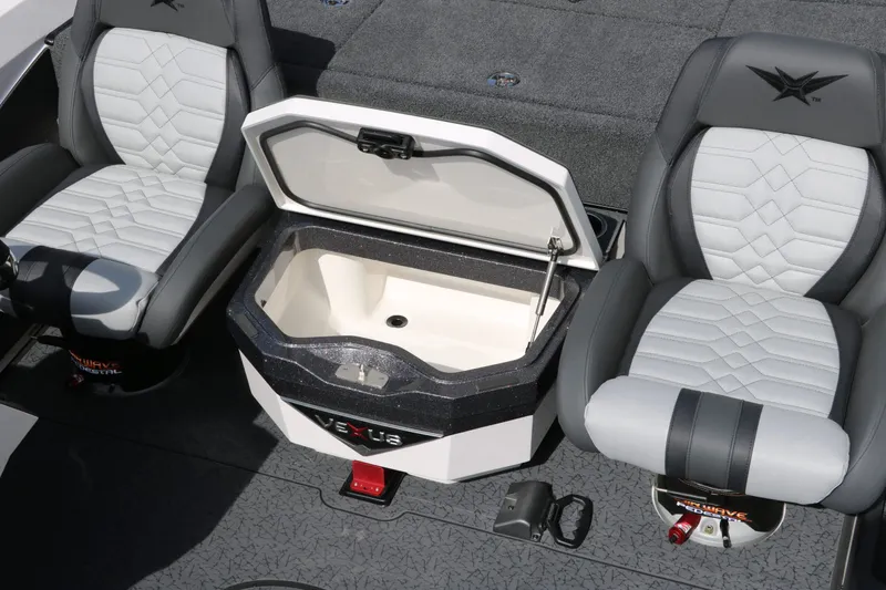 Slide: The Image of Vexus VXS 21 2025 - 26