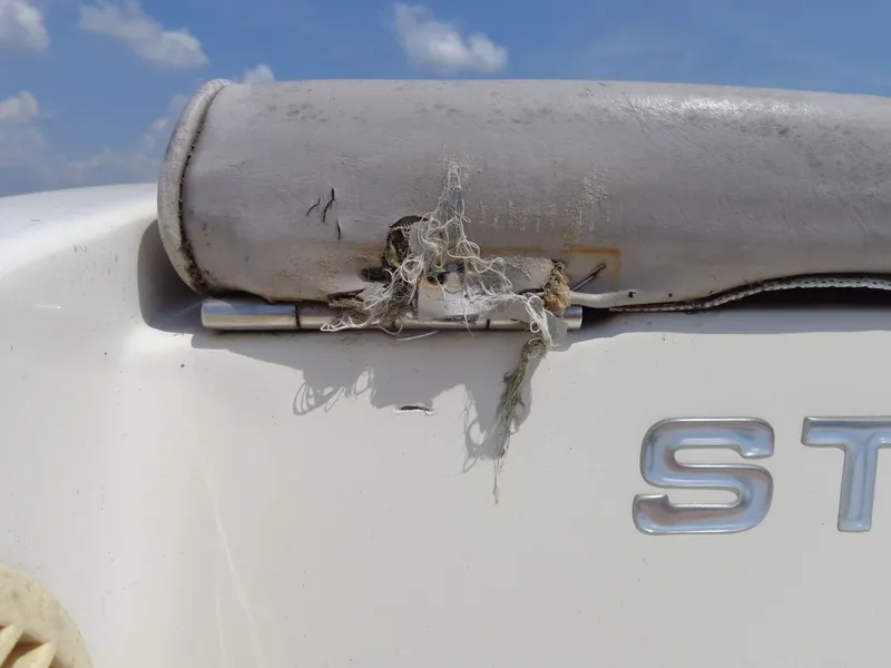 Slide: The Image of Stingray 180 RX 2006 - 46