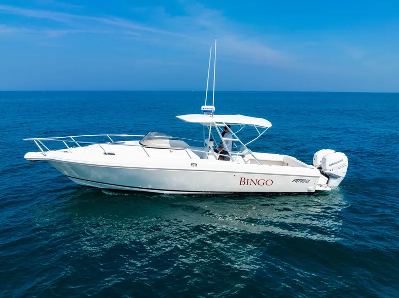 Slide: The Image of Intrepid 339 Sport Fisherman 1995 - 10