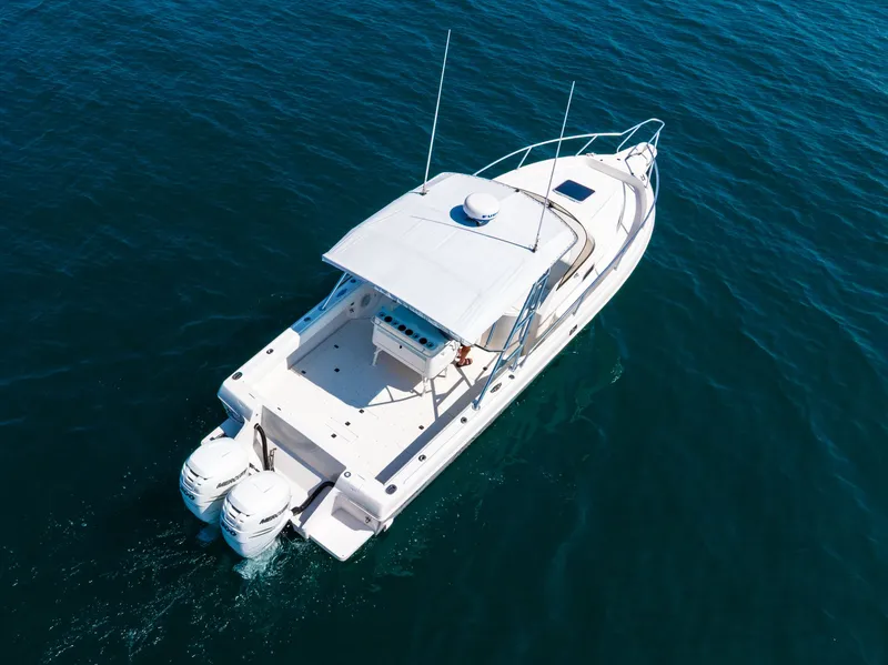 Slide: The Image of Intrepid 339 Sport Fisherman 1995 - 7