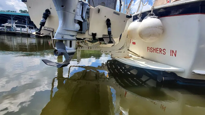 Slide: The Image of Tender Davit - 81