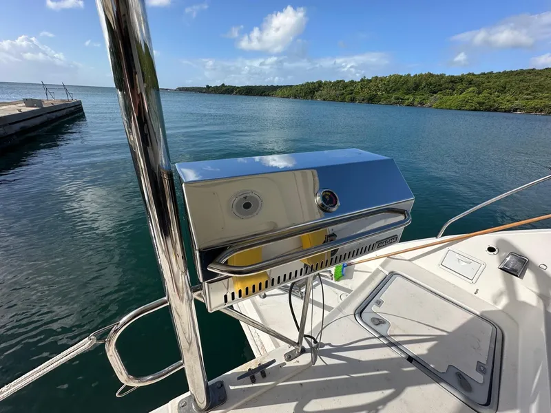 Slide: The Image of Leopard 44 2013 - 50