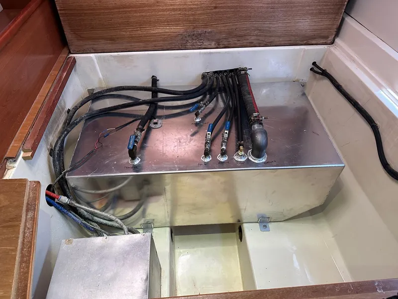 Slide: The Image of Leopard 44 2013 - 86