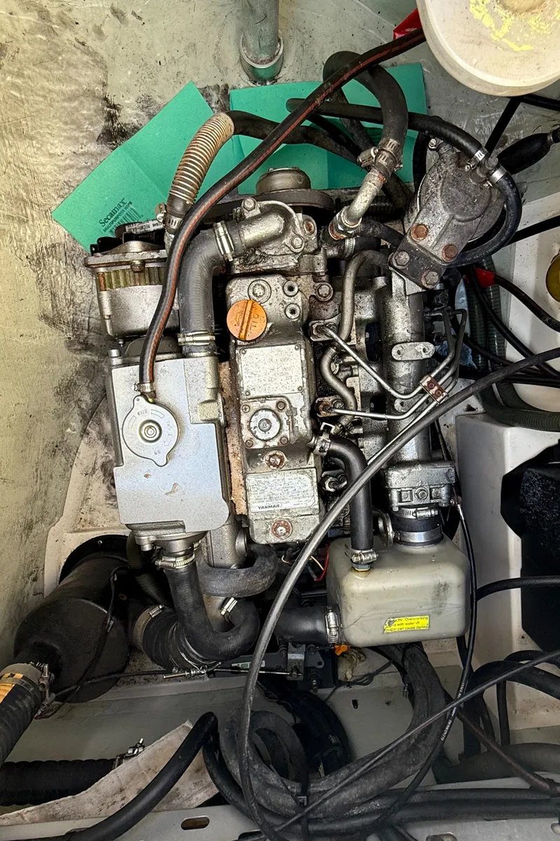 Slide: The Image of Leopard 44 2013 - 87