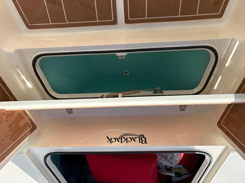 Slide: The Image of Open storage compartment on a 2019 BlackJack 224 boat, showing interior details. - 22