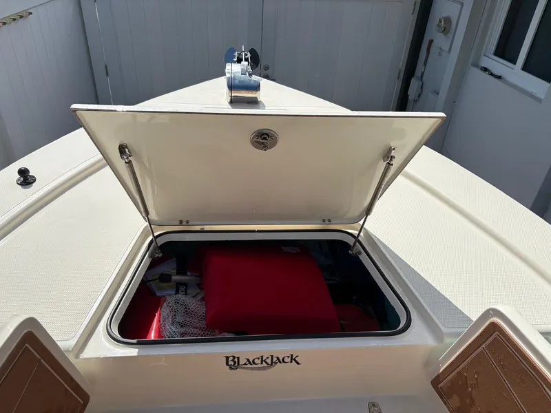 Slide: The Image of Open storage compartment on a 2019 BlackJack 224 boat, showing interior contents. - 24