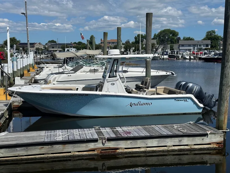 Slide: The Image of 2021 Tidewater 252 LXF boat docked in marina under blue sky. - 0