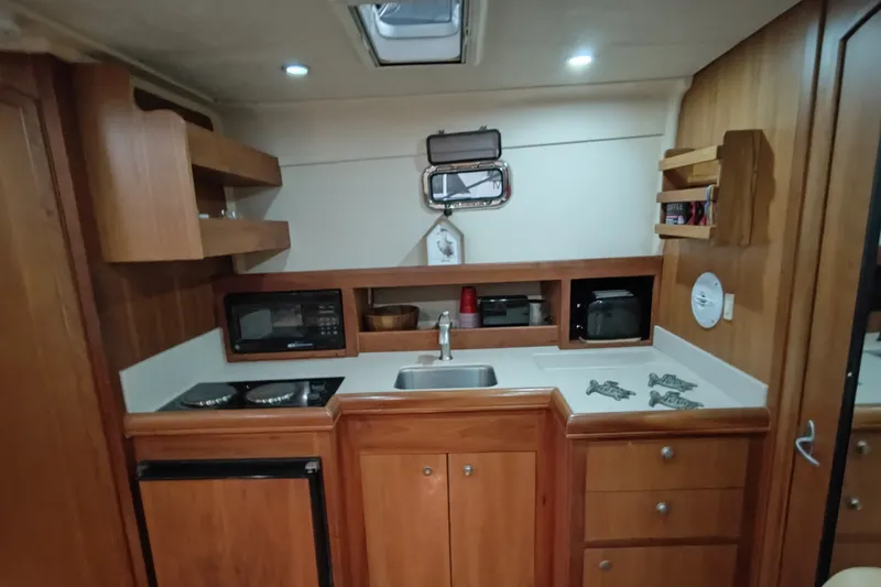 Slide: The Image of Gally - 18