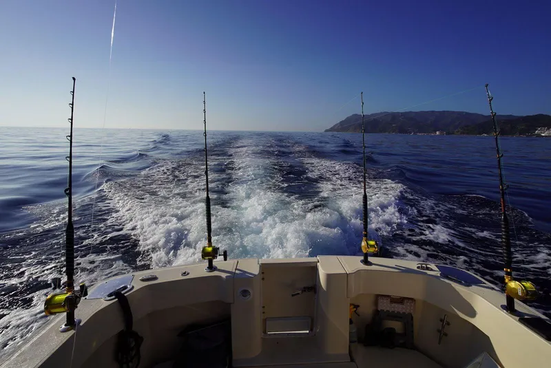 Slide: The Image of 2004 Mainship Pilot 30-II Sedan cruising with fishing rods, leaving a wake on calm ocean waters. - 4