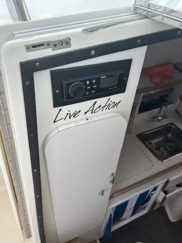 Slide: The Image of Pursuit 2855 1993 - 10