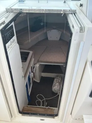 Slide: The Image of Pursuit 2855 1993 - 11