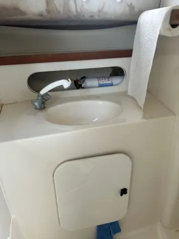 Slide: The Image of Pursuit 2855 1993 - 17