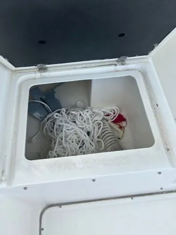 Slide: The Image of Pursuit 2855 1993 - 20