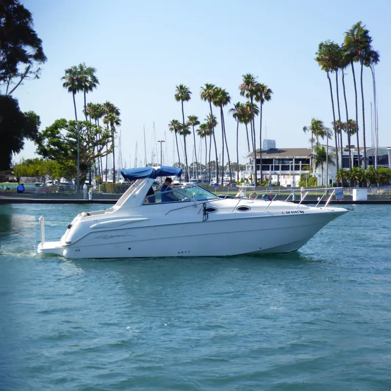 The Image of 2001 Monterey 302 Cruiser boat on water with palm trees in background. - 0