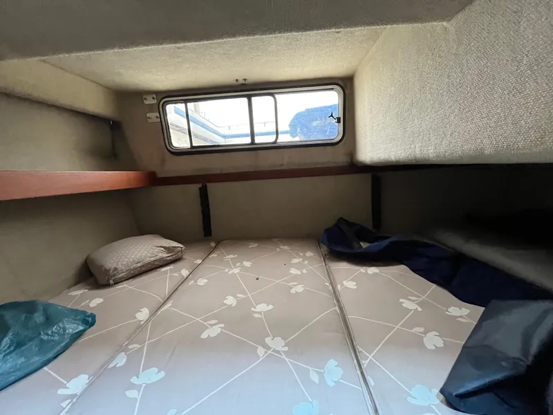 Slide: The Image of Interior cabin of a 1986 Tiara Yachts Continental, featuring a cozy sleeping area. - 20