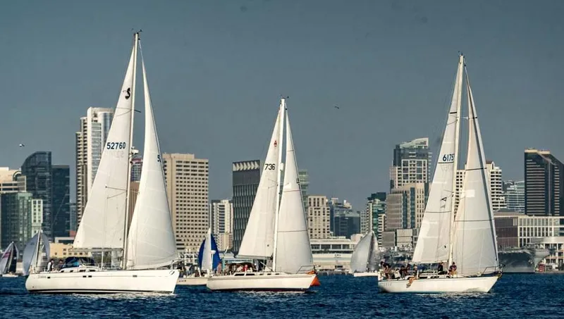 Slide: The Image of Sailboats racing near city skyline, featuring a 1984 Catalina 38. - 2