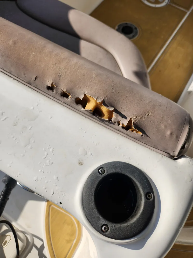 Slide: The Image of Damaged seat on 2013 Hurricane SD2400 OB boat, showing torn upholstery and exposed foam. - 17