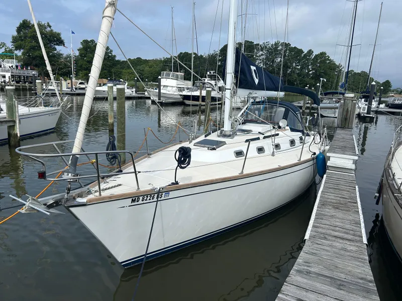 Slide: The Image of Sailboat docked at marina, Tartan 3500 model, 1998, with trees in the background. - 3