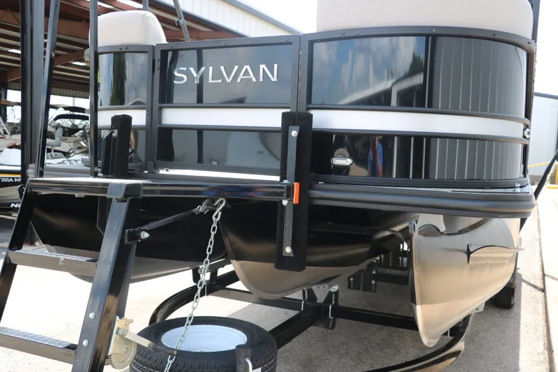 Slide: The Image of Sylvan L3 RLZ Tri Toon 2022 - 9