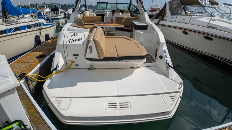 Slide: The Image of Sea Ray Sundancer 320 2019 - 57
