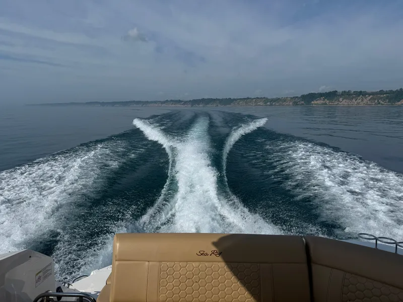 Slide: The Image of Sea Ray Sundancer 320 2019 - 70